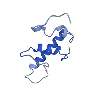 21409_6vw0_E_v1-2
Mycobacterium tuberculosis RNAP S456L mutant open promoter complex