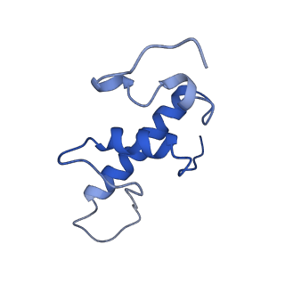 21409_6vw0_E_v1-3
Mycobacterium tuberculosis RNAP S456L mutant open promoter complex