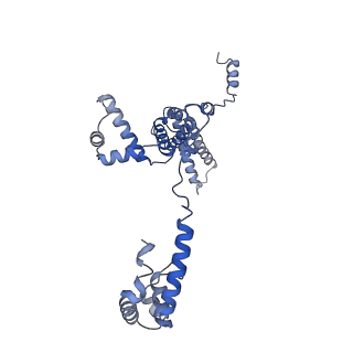 21409_6vw0_F_v1-3
Mycobacterium tuberculosis RNAP S456L mutant open promoter complex