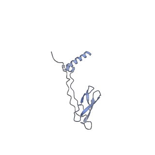 21409_6vw0_J_v1-2
Mycobacterium tuberculosis RNAP S456L mutant open promoter complex