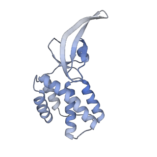 21409_6vw0_M_v1-2
Mycobacterium tuberculosis RNAP S456L mutant open promoter complex