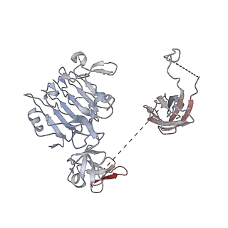 21416_6vwh_B_v1-2
Leg region of the open conformation of the human type 1 insulin-like growth factor receptor ectodomain in complex with human insulin-like growth factor II.