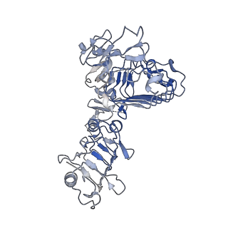 21417_6vwi_A_v1-4
Head region of the closed conformation of the human type 1 insulin-like growth factor receptor ectodomain in complex with human insulin-like growth factor II.