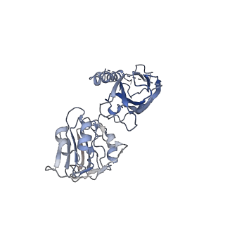 21417_6vwi_B_v1-4
Head region of the closed conformation of the human type 1 insulin-like growth factor receptor ectodomain in complex with human insulin-like growth factor II.