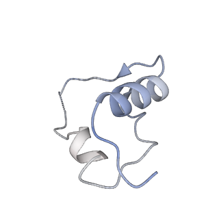 21417_6vwi_I_v1-4
Head region of the closed conformation of the human type 1 insulin-like growth factor receptor ectodomain in complex with human insulin-like growth factor II.