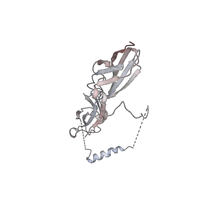 21418_6vwj_A_v1-2
Leg region of the closed conformation of the human type 1 insulin-like growth factor receptor ectodomain in complex with human insulin-like growth factor II