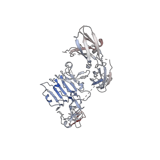 21418_6vwj_B_v1-2
Leg region of the closed conformation of the human type 1 insulin-like growth factor receptor ectodomain in complex with human insulin-like growth factor II