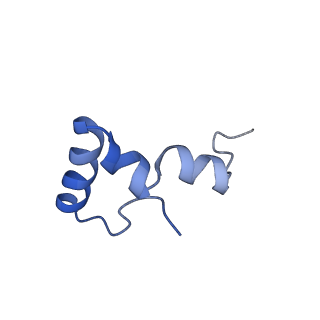 21420_6vwl_AA_v1-0
70S ribosome bound to HIV frameshifting stem-loop (FSS) and P/E tRNA (rotated conformation)