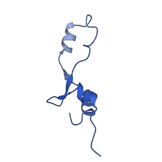 21420_6vwl_AB_v1-0
70S ribosome bound to HIV frameshifting stem-loop (FSS) and P/E tRNA (rotated conformation)