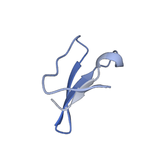 21420_6vwl_AC_v1-0
70S ribosome bound to HIV frameshifting stem-loop (FSS) and P/E tRNA (rotated conformation)