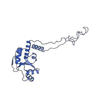 21420_6vwl_C_v1-0
70S ribosome bound to HIV frameshifting stem-loop (FSS) and P/E tRNA (rotated conformation)