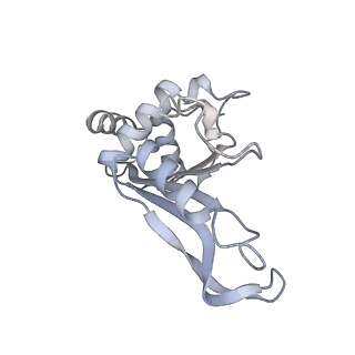 21420_6vwl_D_v1-0
70S ribosome bound to HIV frameshifting stem-loop (FSS) and P/E tRNA (rotated conformation)