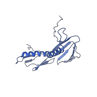 21420_6vwl_E_v1-0
70S ribosome bound to HIV frameshifting stem-loop (FSS) and P/E tRNA (rotated conformation)