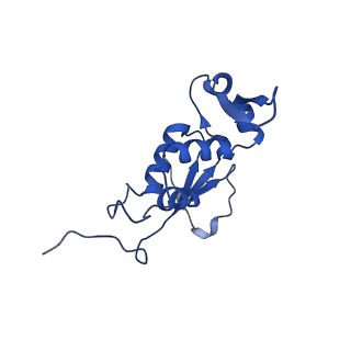 21420_6vwl_G_v1-0
70S ribosome bound to HIV frameshifting stem-loop (FSS) and P/E tRNA (rotated conformation)