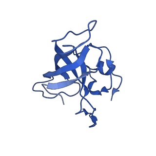 21420_6vwl_I_v1-0
70S ribosome bound to HIV frameshifting stem-loop (FSS) and P/E tRNA (rotated conformation)