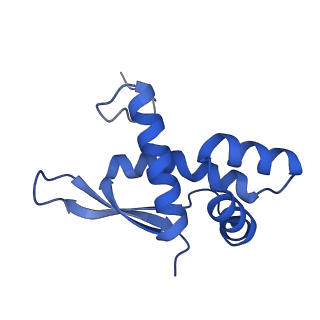 21420_6vwl_L_v1-0
70S ribosome bound to HIV frameshifting stem-loop (FSS) and P/E tRNA (rotated conformation)