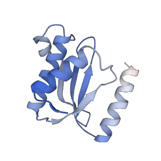 21420_6vwl_M_v1-0
70S ribosome bound to HIV frameshifting stem-loop (FSS) and P/E tRNA (rotated conformation)
