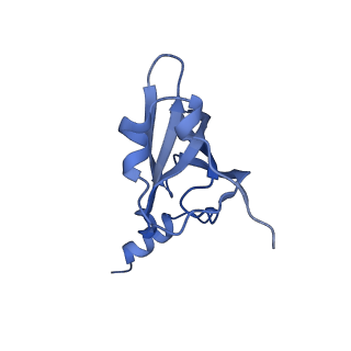 21420_6vwl_N_v1-0
70S ribosome bound to HIV frameshifting stem-loop (FSS) and P/E tRNA (rotated conformation)