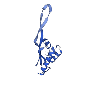 21420_6vwl_Q_v1-0
70S ribosome bound to HIV frameshifting stem-loop (FSS) and P/E tRNA (rotated conformation)