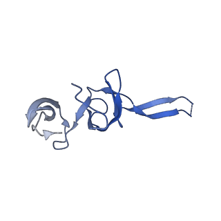 21420_6vwl_S_v1-0
70S ribosome bound to HIV frameshifting stem-loop (FSS) and P/E tRNA (rotated conformation)
