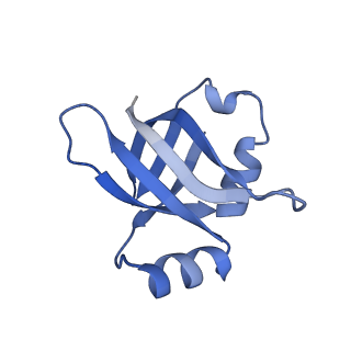 21420_6vwl_T_v1-0
70S ribosome bound to HIV frameshifting stem-loop (FSS) and P/E tRNA (rotated conformation)