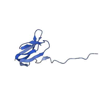 21420_6vwl_U_v1-0
70S ribosome bound to HIV frameshifting stem-loop (FSS) and P/E tRNA (rotated conformation)