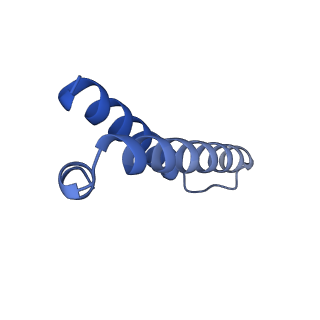 21420_6vwl_W_v1-0
70S ribosome bound to HIV frameshifting stem-loop (FSS) and P/E tRNA (rotated conformation)