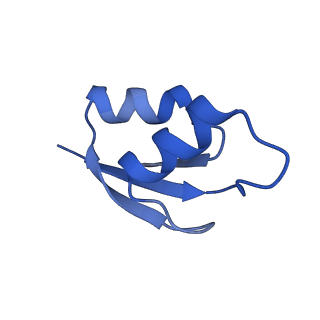 21420_6vwl_X_v1-0
70S ribosome bound to HIV frameshifting stem-loop (FSS) and P/E tRNA (rotated conformation)