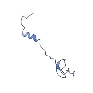 21420_6vwl_Y_v1-0
70S ribosome bound to HIV frameshifting stem-loop (FSS) and P/E tRNA (rotated conformation)