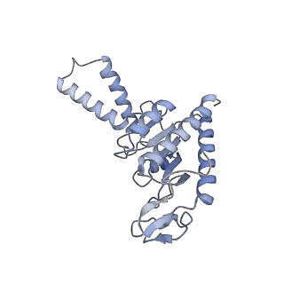 21420_6vwl_a_v1-0
70S ribosome bound to HIV frameshifting stem-loop (FSS) and P/E tRNA (rotated conformation)