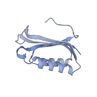 21420_6vwl_e_v1-0
70S ribosome bound to HIV frameshifting stem-loop (FSS) and P/E tRNA (rotated conformation)