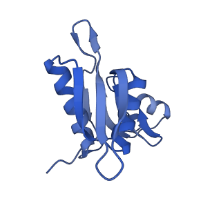 21420_6vwl_g_v1-0
70S ribosome bound to HIV frameshifting stem-loop (FSS) and P/E tRNA (rotated conformation)