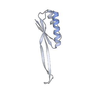 21420_6vwl_i_v1-0
70S ribosome bound to HIV frameshifting stem-loop (FSS) and P/E tRNA (rotated conformation)