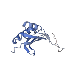 21420_6vwl_j_v1-0
70S ribosome bound to HIV frameshifting stem-loop (FSS) and P/E tRNA (rotated conformation)