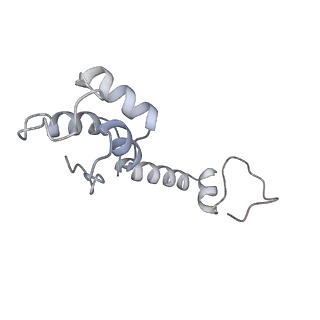 21420_6vwl_l_v1-0
70S ribosome bound to HIV frameshifting stem-loop (FSS) and P/E tRNA (rotated conformation)