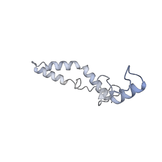 21420_6vwl_m_v1-0
70S ribosome bound to HIV frameshifting stem-loop (FSS) and P/E tRNA (rotated conformation)