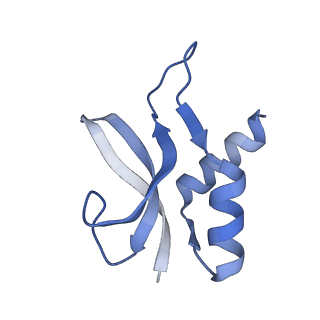 21420_6vwl_o_v1-0
70S ribosome bound to HIV frameshifting stem-loop (FSS) and P/E tRNA (rotated conformation)