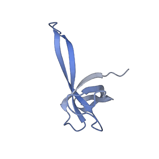 21420_6vwl_p_v1-0
70S ribosome bound to HIV frameshifting stem-loop (FSS) and P/E tRNA (rotated conformation)