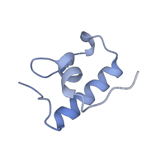 21420_6vwl_q_v1-0
70S ribosome bound to HIV frameshifting stem-loop (FSS) and P/E tRNA (rotated conformation)
