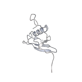 21420_6vwl_r_v1-0
70S ribosome bound to HIV frameshifting stem-loop (FSS) and P/E tRNA (rotated conformation)