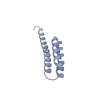 21420_6vwl_s_v1-0
70S ribosome bound to HIV frameshifting stem-loop (FSS) and P/E tRNA (rotated conformation)