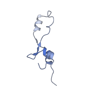 21421_6vwm_AB_v1-0
70S ribosome bound to HIV frameshifting stem-loop (FSS) and P-site tRNA (non-rotated conformation, Structure I)