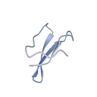21421_6vwm_AC_v1-0
70S ribosome bound to HIV frameshifting stem-loop (FSS) and P-site tRNA (non-rotated conformation, Structure I)
