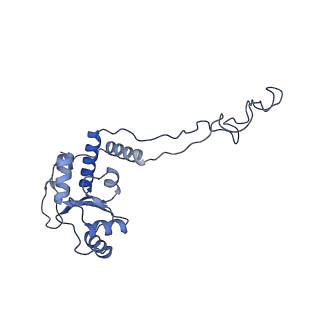 21421_6vwm_C_v1-0
70S ribosome bound to HIV frameshifting stem-loop (FSS) and P-site tRNA (non-rotated conformation, Structure I)