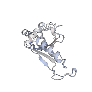21421_6vwm_D_v1-0
70S ribosome bound to HIV frameshifting stem-loop (FSS) and P-site tRNA (non-rotated conformation, Structure I)