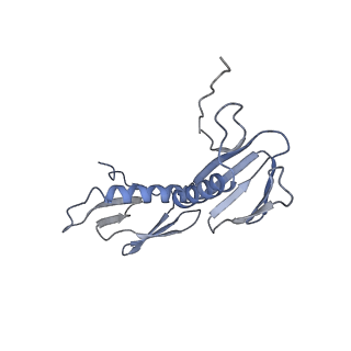 21421_6vwm_E_v1-0
70S ribosome bound to HIV frameshifting stem-loop (FSS) and P-site tRNA (non-rotated conformation, Structure I)