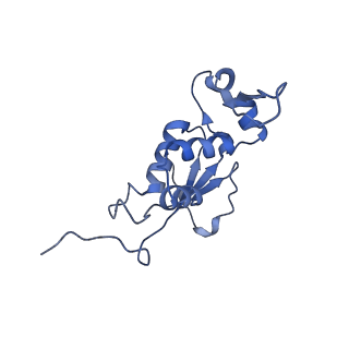 21421_6vwm_H_v1-0
70S ribosome bound to HIV frameshifting stem-loop (FSS) and P-site tRNA (non-rotated conformation, Structure I)