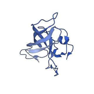 21421_6vwm_I_v1-0
70S ribosome bound to HIV frameshifting stem-loop (FSS) and P-site tRNA (non-rotated conformation, Structure I)