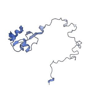 21421_6vwm_J_v1-0
70S ribosome bound to HIV frameshifting stem-loop (FSS) and P-site tRNA (non-rotated conformation, Structure I)