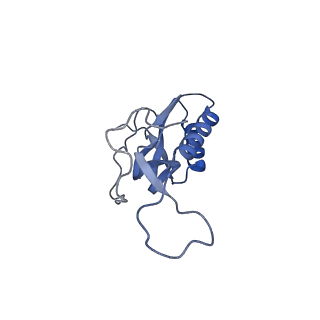 21421_6vwm_K_v1-0
70S ribosome bound to HIV frameshifting stem-loop (FSS) and P-site tRNA (non-rotated conformation, Structure I)
